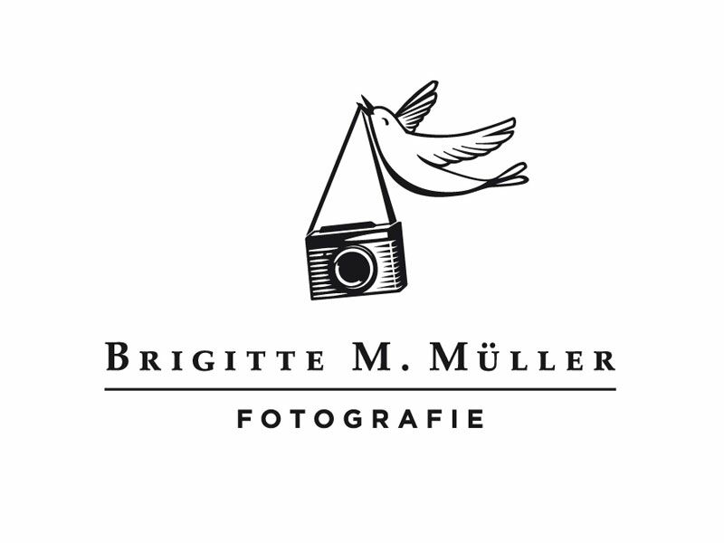 logo for photographer