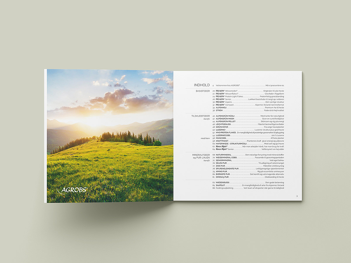 catalogue typesetting
